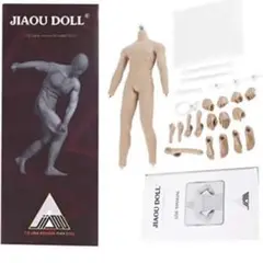 JIAOU DOLL 1/6スケール 超柔軟 シームレス 筋肉 男性 ボディ