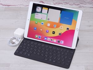 Aランク Apple iPad Pro MPHH2J/A 10.5インチRetinaディスプレイ 256GB シルバー SIMフリー