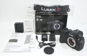 ★元箱付！Panasonic パナソニック LUMIX ルミックス DC-G99 デジタル一眼 ミラーレス一眼 カメラ ボディ★