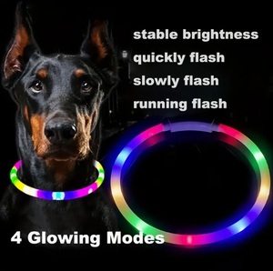 動画あり レインボー LED 首輪 犬 光る USB 充電 夜 散歩 長さ調整可 35cm 50cm 65cm 70cm 小型犬 中型犬 大型犬 虹 カラフル