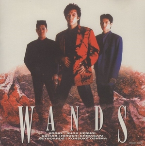 WANDS ワンズ / WANDS ワンズ / 1994.02.02 / 1stアルバム / 1992年作品 / 再発盤 / BGCH-1006