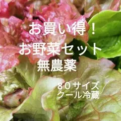 お買い得！ 採れたて〜無農薬　お野菜セット〜80サイズ クール冷蔵