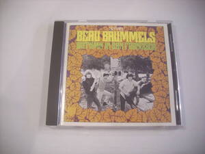 ●CD　THE BEAU BRUMMELS / AUTUMN IN SAN FRANCISCO ボー・ブラメルズ スライストーンのプロデュース