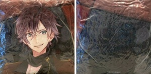 DIABOLIK LOVERS LOST EDEN ディアラバ 表裏クッション 逆巻アヤト