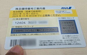 ANA株主優待券1枚(2024年11月30日まで)通知のみ