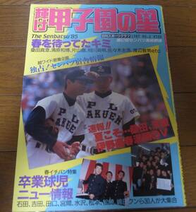 昭和60年輝け甲子園の星/第57回センバツ高校野球/伊野商優勝/PL学園/帝京/東北高/渡辺智男/清原和博/桑田真澄