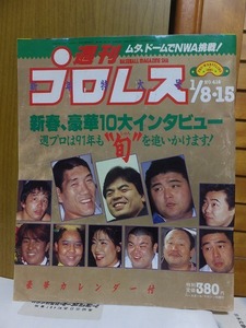 週刊プロレス　　　　４１４号　　　１９９１年　1/8・15