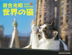 2025 岩合光昭　世界の猫カレンダー（壁掛け） ([カレンダー])