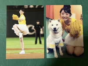 【2枚セット】おのののか　写真　始球式　ミニスカ　太股　ギリギリ　ソフトバンクの犬　