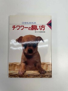 チワワーの飼い方【H87613】