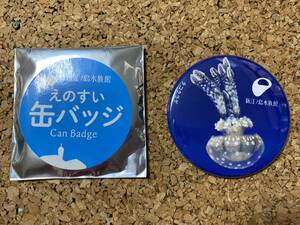 ★未使用品★ 「えのすい 缶バッジ」タコクラゲ-2　新江ノ島水族館