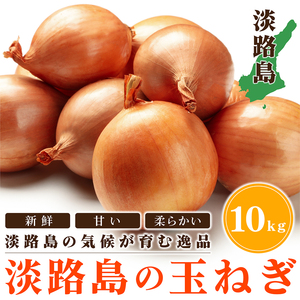 淡路島産 甘さ広がる玉ねぎ 収穫後直送10kg わけあり特選品