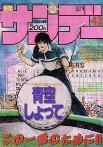 週刊少年サンデー　№43　平成2年10月10日号