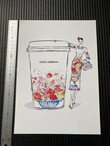 ミニポスター　☆　インテリア雑貨　レア貴重　DOLCE&GABBANA　ドルチェ＆ガッバーナ　１枚　プラシート　壁飾り