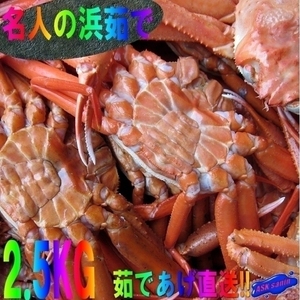 【3箱】名人の浜茹で蟹2.5kg/10尾以内、山陰境港産...「紅蟹S2.5kg」