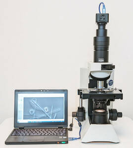 オリンパス 位相差顕微鏡 USBデジタルカメラセット 無限遠補正光学系 細菌,微生物,血液観察に Olympus Phase Contrast Microscope 中古