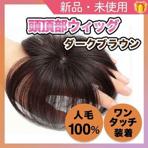 頭頂部 ウィッグ 部分かつら ヘアピース 自然 ブラウン つけ毛 メンズ にも