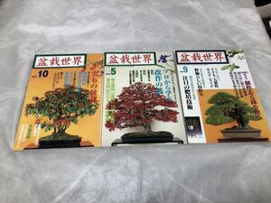 【送料込】盆栽世界　3冊セット　(1998.9,2002.5,2002.10)