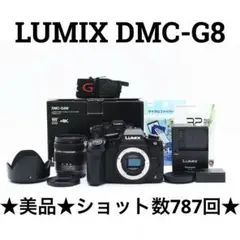 美品　Panasonic LUMIX DMC-G8 レンズキット パナソニック