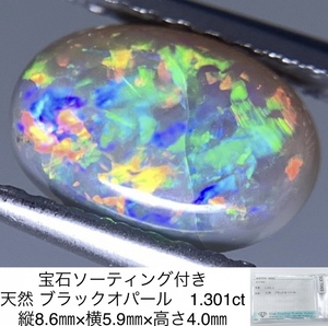 宝石ソーティング付き 天然 ブラックオパール 1.301ct 縦8.6×横5.9×高さ4.0 2833Y