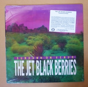 THE JET BLACK BERRIES「SUNDOWN ON VENUS」米ORIG [ENIGMA配給PINK DUST] ステッカー有シュリンク美品