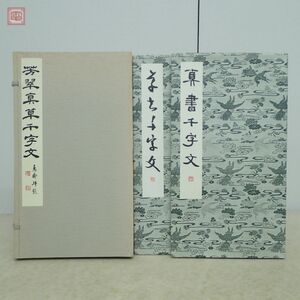 芳翠 真草千字文 全2冊揃 松本芳翠 松濤社 1987年/昭和62年発行 書道 特製帙入【20