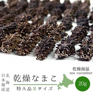 乾燥ナマコ特A級品Sサイズ20g 1本4g～6g前後 特Aランク 北海道産乾燥なまこ 金ん子 キンコ 海参！ 干し【メール便対応】