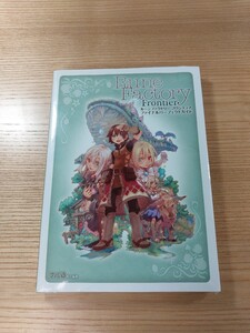 【D2903】送料無料 書籍 ルーンファクトリー フロンティア ファイナルパーフェクトガイド ( Wii 攻略本 空と鈴 )