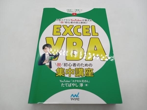 Excel VBA 脱初心者のための集中講座 たてばやし淳 マイナビ ★ 店舗受取可