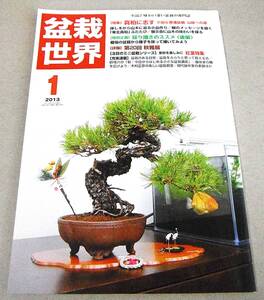 ●真柏(小品＆普通盆栽 山味への道)他「盆栽世界2013年1月号」