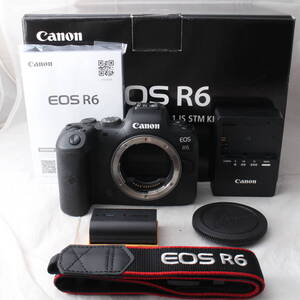 ☆良品・ショット数19000☆ Canon EOS R6 ボディー EOSR6 キヤノン ミラーレス一眼カメラ #3124