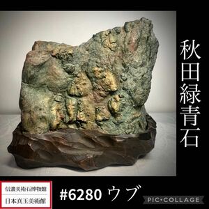 【信濃美術石博物館】水石 秋田緑青石 ウブ横23×高17.5×奥行20(cm)9.1kg 盆栽骨董盆石古美術鑑賞石観賞石太湖石中国古玩 6280