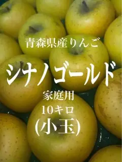 青森県産りんご「シナノゴールド」家庭用10キロ(小玉)