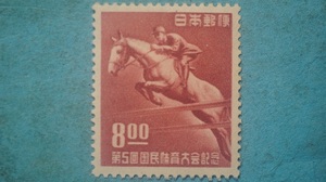 第５回国体　馬術　未使用NH美品　