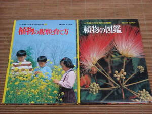 小学館の学習百科図鑑 ワイドカラー 2冊セット 植物・植物の観察と育て方