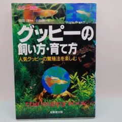 グッピーの飼い方・育て方 : 人気グッピーの繁殖法を楽しむ