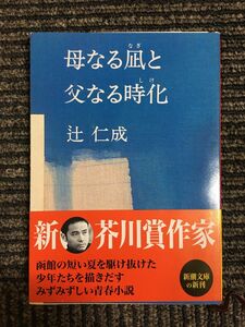 母なる凪と父なる時化 (新潮文庫) / 辻 仁成 (著)