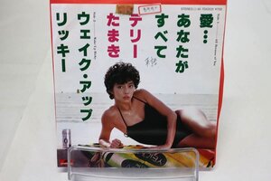 [TK1292EP] EP テリー ・たまき/愛...あなたがすべて　激レア見本盤！（非売品）歌詞対訳 地元有線落ち 