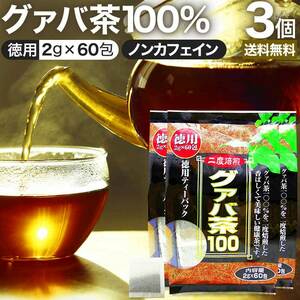 グァバ グァバ茶 グアバ グアバ茶 ガバ茶 ガバちゃ ティーバッグ ダイエット 2g*60包*3個セット 送料無料 宅配便