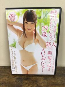 g_t Z778 ★アダルトDVD★雛菊つばさ『新人 AVデビュー』★恥ずかしいけど頑張ります！純朴かわいいGカップ！★中古現状品★