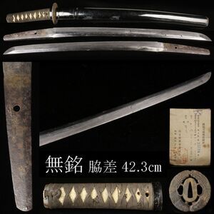 【LIG】無銘 脇差 42.3㎝ 鮫皮巻柄 時代拵 時代刀剣 鉄地鍔 旧家蔵出品 [.QE]24.11