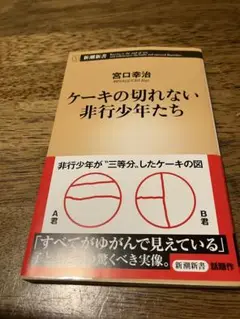 ケーキの切れない非行少年たち