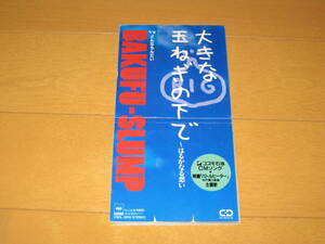 大きな玉ねぎの下で～はるかなる想い / どんなもんだい 8cmシングルCD 爆風スランプ BAKUFU-SLUMP CSDL-3010