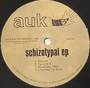 [ 12 / レコード ] 4th Level / Schizotypal EP ( Techno ) Auk Recordings - AUK 011 90年代 テクノ