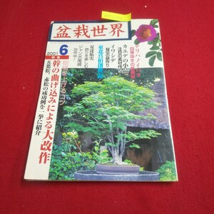 M7j-173 月刊盆栽世界 2001年6月号 安達祐実飾りを楽しむ 幹の曲げ込みによる大改作 テリハノイバラの新素材 ジャンボ尾崎の盆栽道