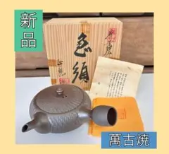 【新品/木箱付き】急須 茶器 萬古焼 館正規 伝統工芸 陶器 和風 焼物 煎茶