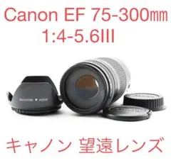 フルサイズ対応 ズーム Canon EF 75-300㎜ 1:4-5.6Ⅲ