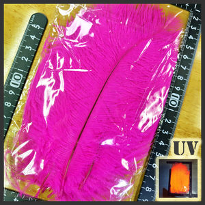 【未開封】オーストリッチ 10pcs PAC 【UVホットピンク】[UV.H.Pink] [●匿名配送●]