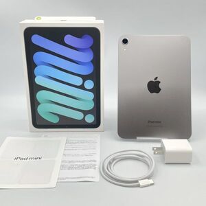 【極美品】Apple iPad mini(A17 Pro) 8.3インチ タブレット スペースグレイ Liquid Retina ディスプレイ 128GB Wi-Fiモデル モバイル EE5