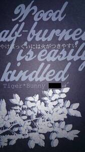 TIGER&BUNNY同人誌■虎兎長編小説■極東花婿「やけぼっくりに～」コテバニ